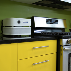 The Austin it Air Purifer with 5 Year Filter